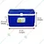 Aristo 6 Liter Ice Box for Ice storage & Medical Purposes